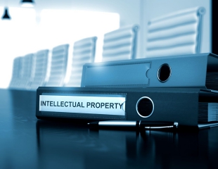 Intellectual property, personal rights of developers and artists